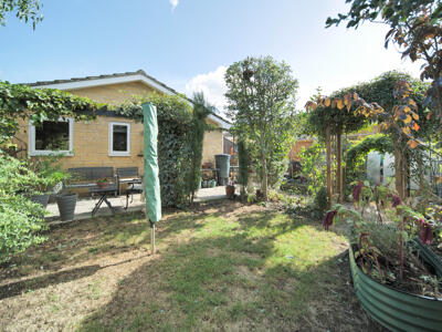 Picture 18
